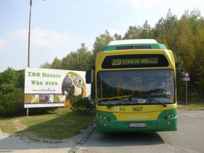 Veľký festival maskotov: Posilnenie dopravy do Zoo (9.9.2018 14:30 – 19:00)