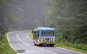 Na linke 14 premáva autobus s cyklonosičom (1.5. – 25.9.2022)