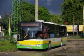 Nové naftové autobusy aj elektrobusy pre DPMŽ budú niesť symbol jazvečíka