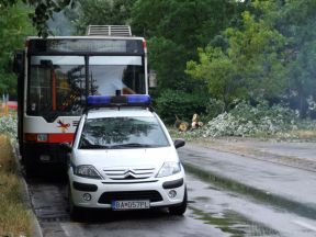 V Ovsišti spadol strom na autobus
