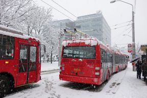Mimoriadne: Prerušená premávka trolejbusov na Kollárovom námestí, Kolibe a pri Hrade