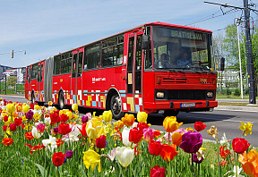 Dopravný podnik pripravuje rozlúčku s autobusmi Karosa radu 700 (2.4.2022 10:00 – 14:30)